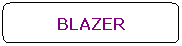 Ret�ngulo de cantos arredondados: BLAZER
