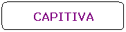 Ret�ngulo de cantos arredondados: CAPITIVA
