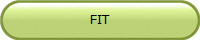 FIT