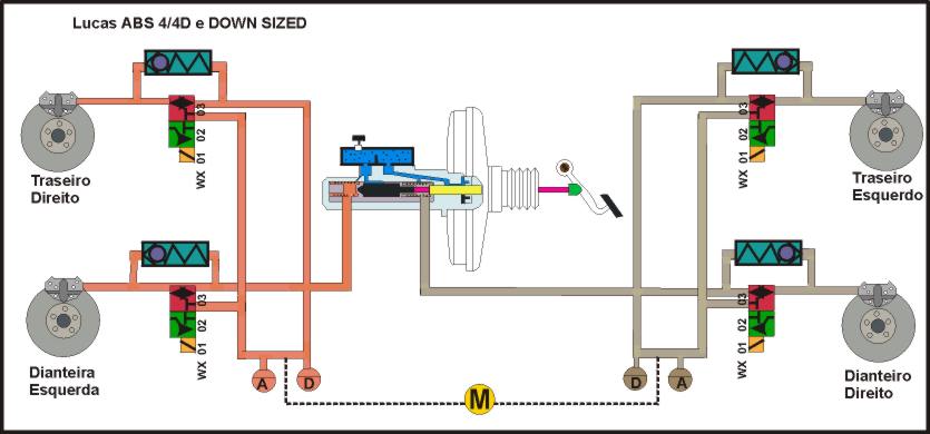 luch.jpg (42895 bytes)