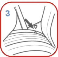 0501.jpg (20963 bytes)