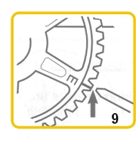 12304.jpg (19297 bytes)