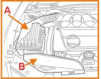 15303.jpg (63413 bytes)