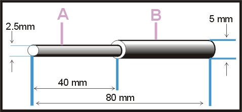 15405.jpg (25977 bytes)