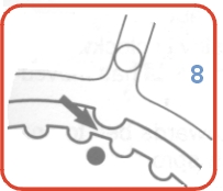 2441.jpg (16302 bytes)