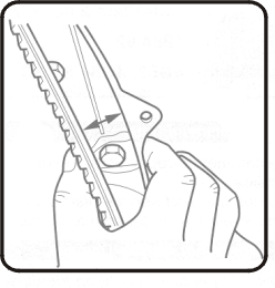 4003.jpg (32313 bytes)