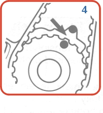 6608.jpg (28998 bytes)