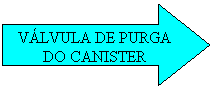 Seta para a direita: V�LVULA DE PURGA DO CANISTER
