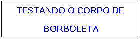 Caixa de texto: TESTANDO O CORPO DE
 BORBOLETA
