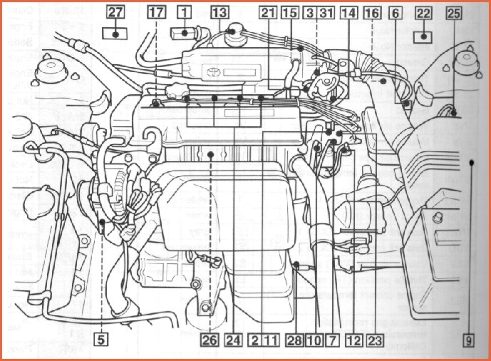 10105.jpg (114979 bytes)