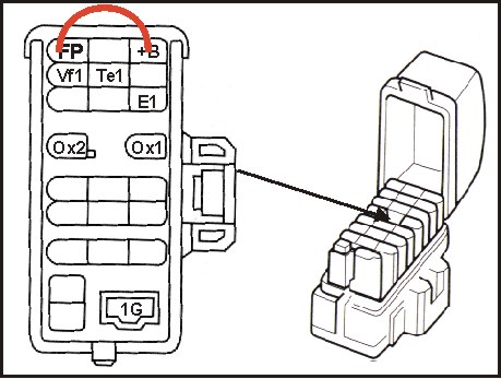 10108.jpg (43681 bytes)