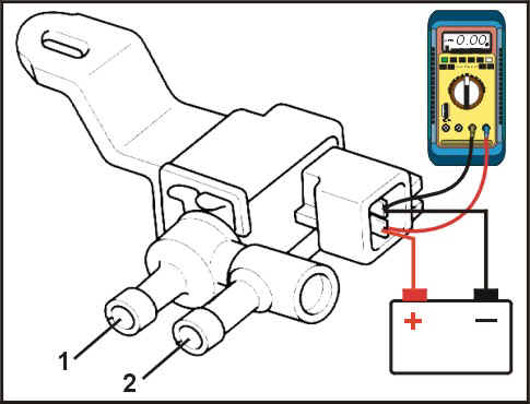 10113.jpg (41492 bytes)