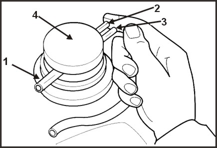 10124.jpg (31545 bytes)