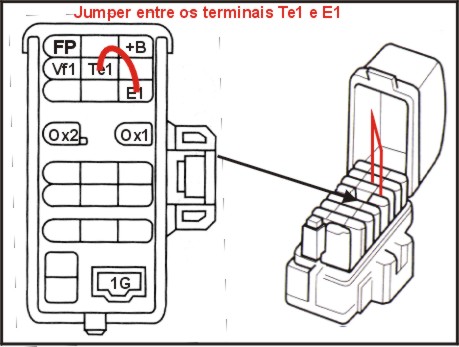 10137.jpg (44868 bytes)