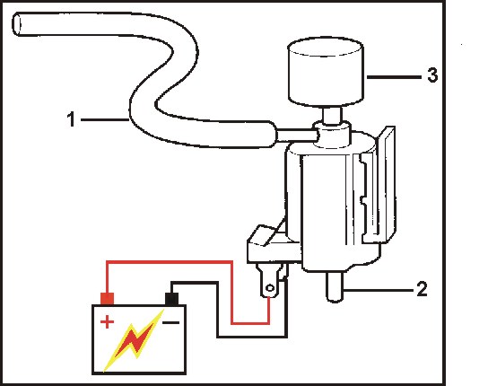 10208.jpg (33174 bytes)