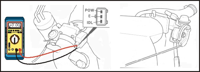 10212.jpg (37936 bytes)