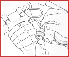 10231.jpg (35689 bytes)