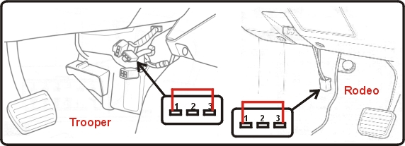 10591.jpg (61497 bytes)