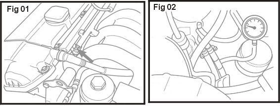 10703.jpg (68972 bytes)