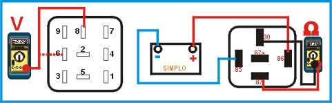 10721.jpg (38444 bytes)