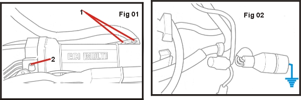 10810.jpg (53912 bytes)