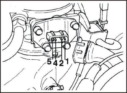 10sal.jpg (33707 bytes)