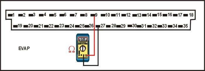 123012.jpg (31262 bytes)