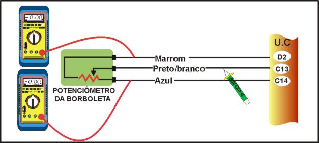 12cimo.jpg (25049 bytes)