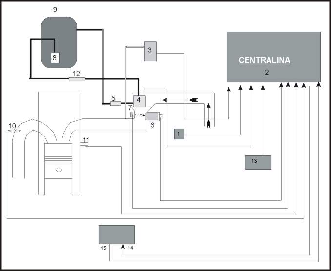 12 dik.jpg (31984 bytes)