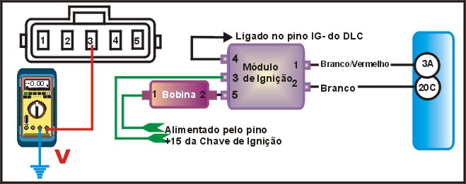 13921.jpg (40875 bytes)