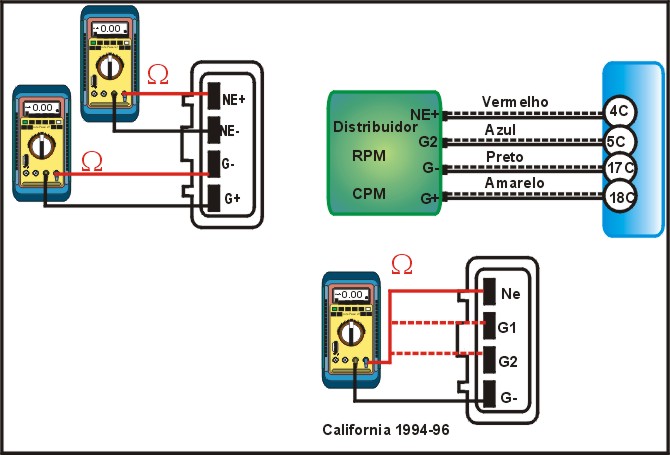 13923.jpg (61202 bytes)