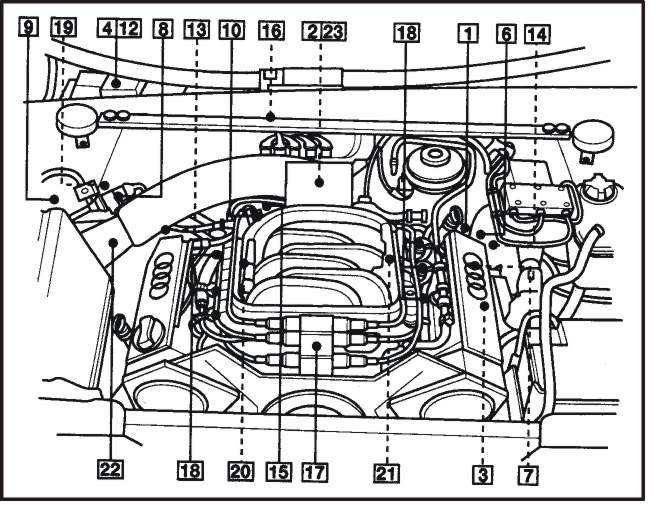17ds.jpg (78447 bytes)