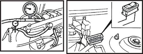 20tre.jpg (24052 bytes)