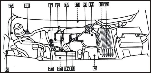 20ws.jpg (35515 bytes)