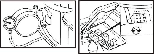 25mas.jpg (21911 bytes)