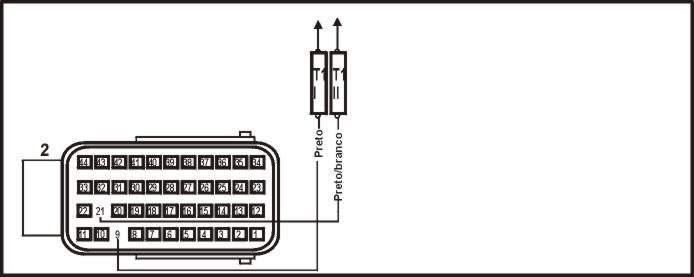 2809.jpg (19832 bytes)