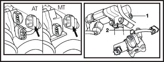 36iis.jpg (26401 bytes)