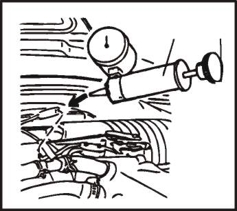 41ffd.jpg (20678 bytes)