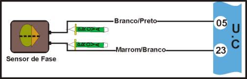 tem7.jpg (11883 bytes)