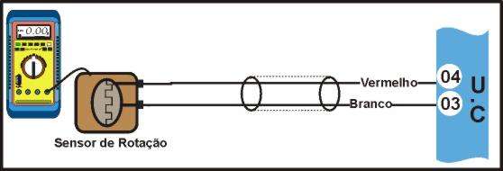 tem3.jpg (15547 bytes)
