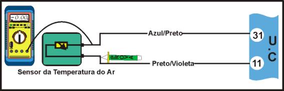 tem5.jpg (16309 bytes)