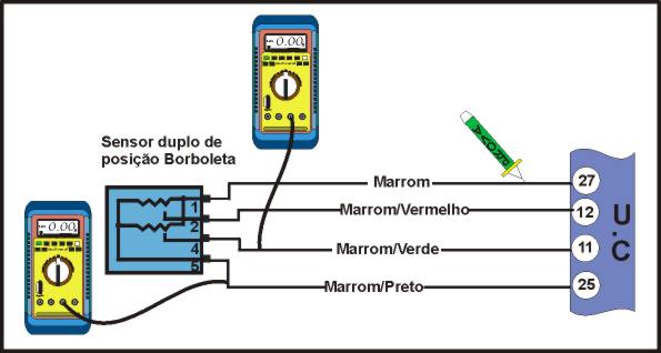 tipo 2.jpg (26558 bytes)