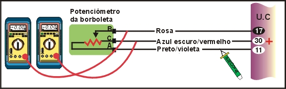 4904.jpg (63479 bytes)