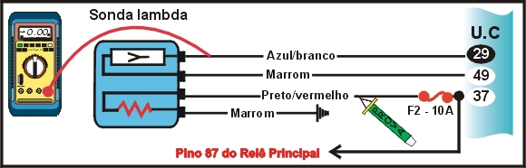 6002.jpg (68324 bytes)