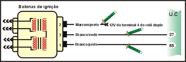 6313.jpg (62105 bytes)