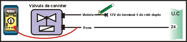 6315.jpg (45848 bytes)