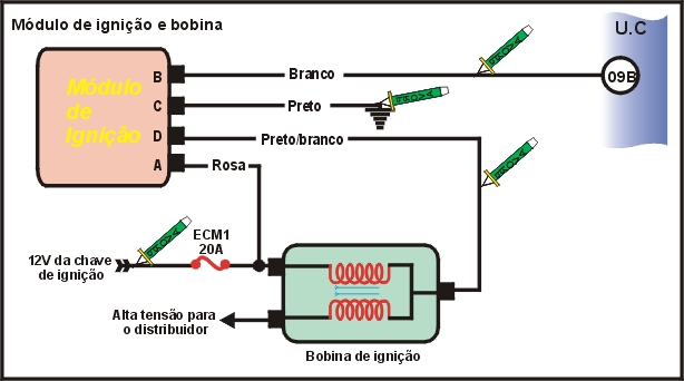 6613.jpg (80264 bytes)