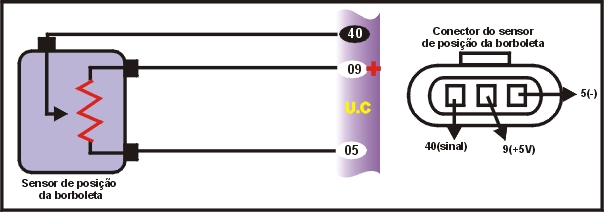 6804.jpg (49792 bytes)