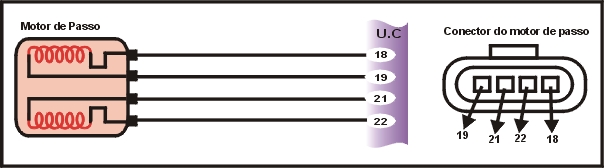 6807.jpg (50786 bytes)