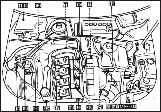 6g.jpg (79553 bytes)